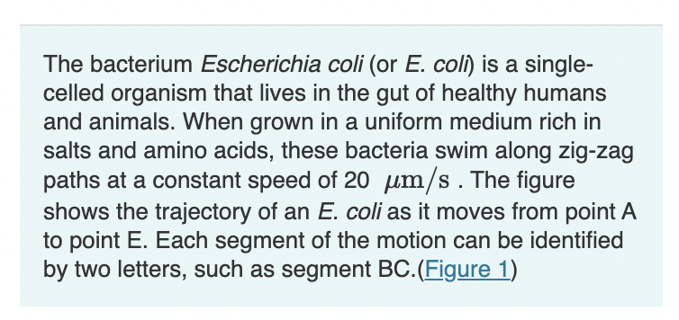 The bacterium Escherichia colt (or E. coir) is a single- celled