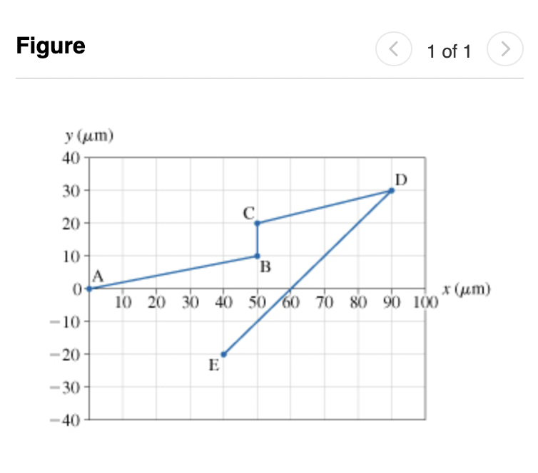 organism that lives in the gut of healthy humans and animals. When