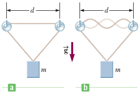 A11.9-kg object hangs in equilibrium from a string with a total length