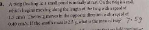 A twig floating in a small pond is initially at rest. On
