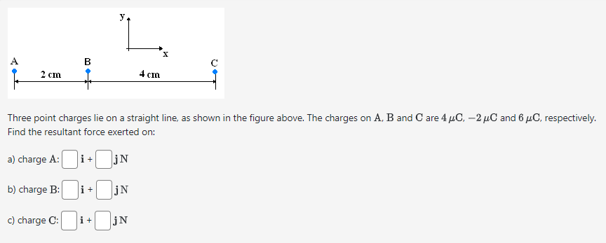 Question 1: A B C I: 2 cm I 4 cm I