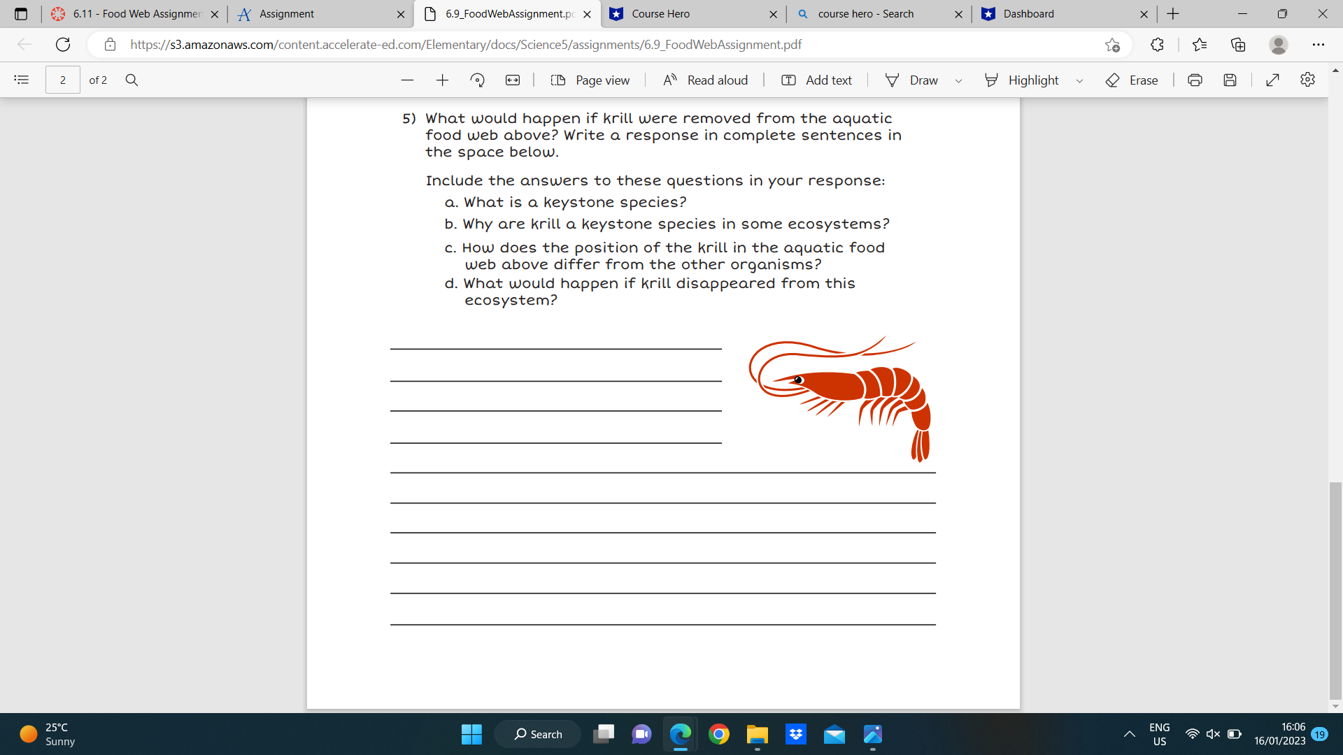 D 6.11 - Food Web Assignmen X A Assignment X 6.9_FoodWebAssignment.pc