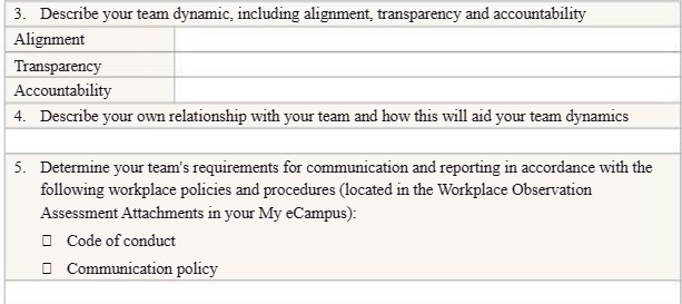  3. Describe your team dynamic, including alignment, transparency and accountability Alignment