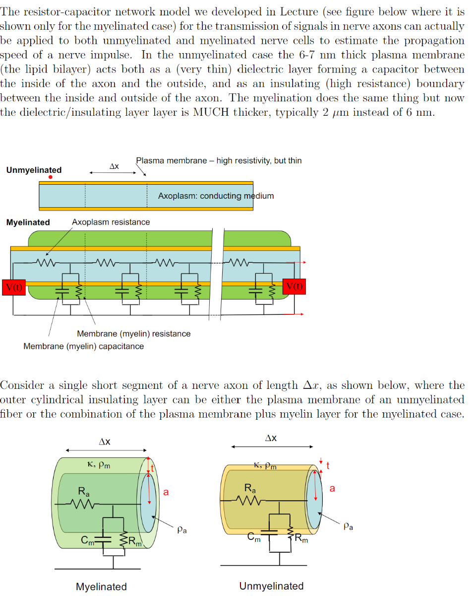 The resistor-capacitor network model we developed in Lecture (see figure below