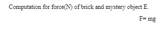 Computation for force(N) of brick and mystery object E _ F mg