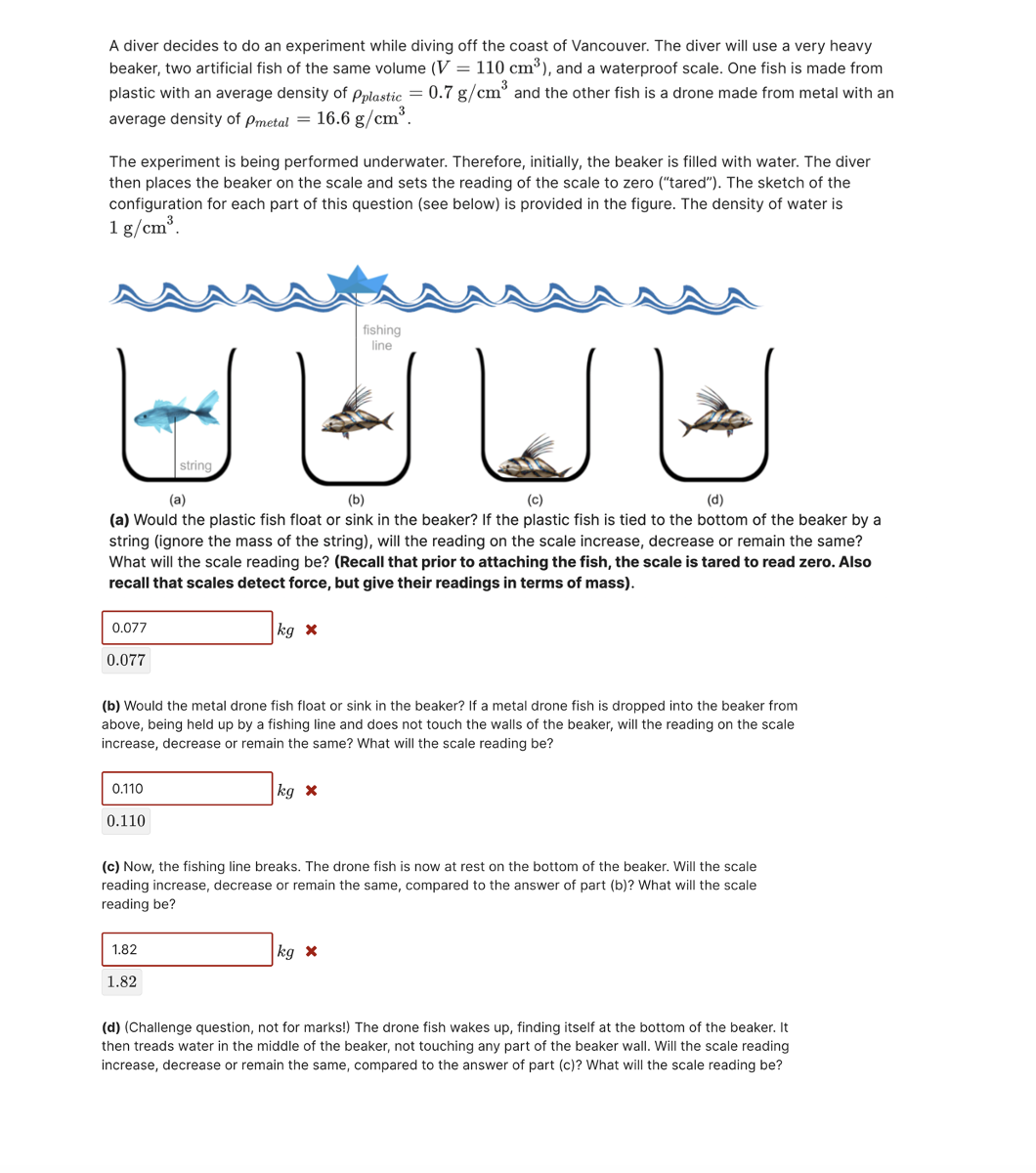  A diver decides to do an experiment while diving off the