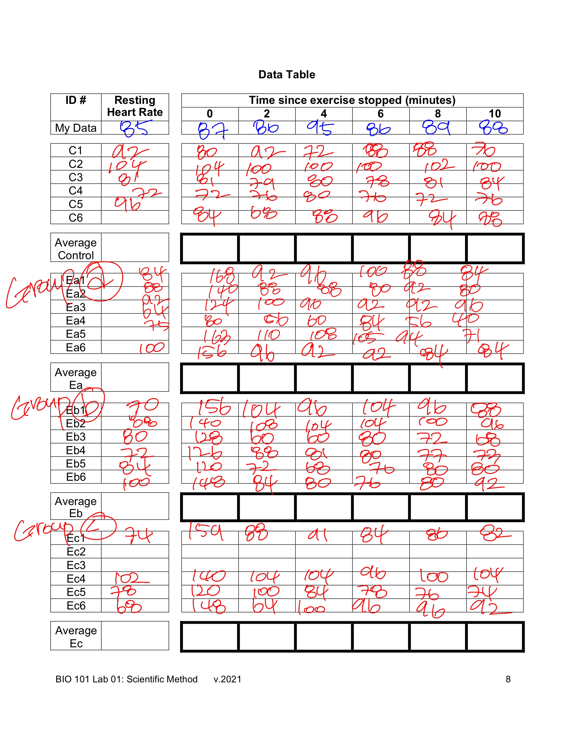 and Synthesis Questions 1. Observations (from in class discussion of heart rate