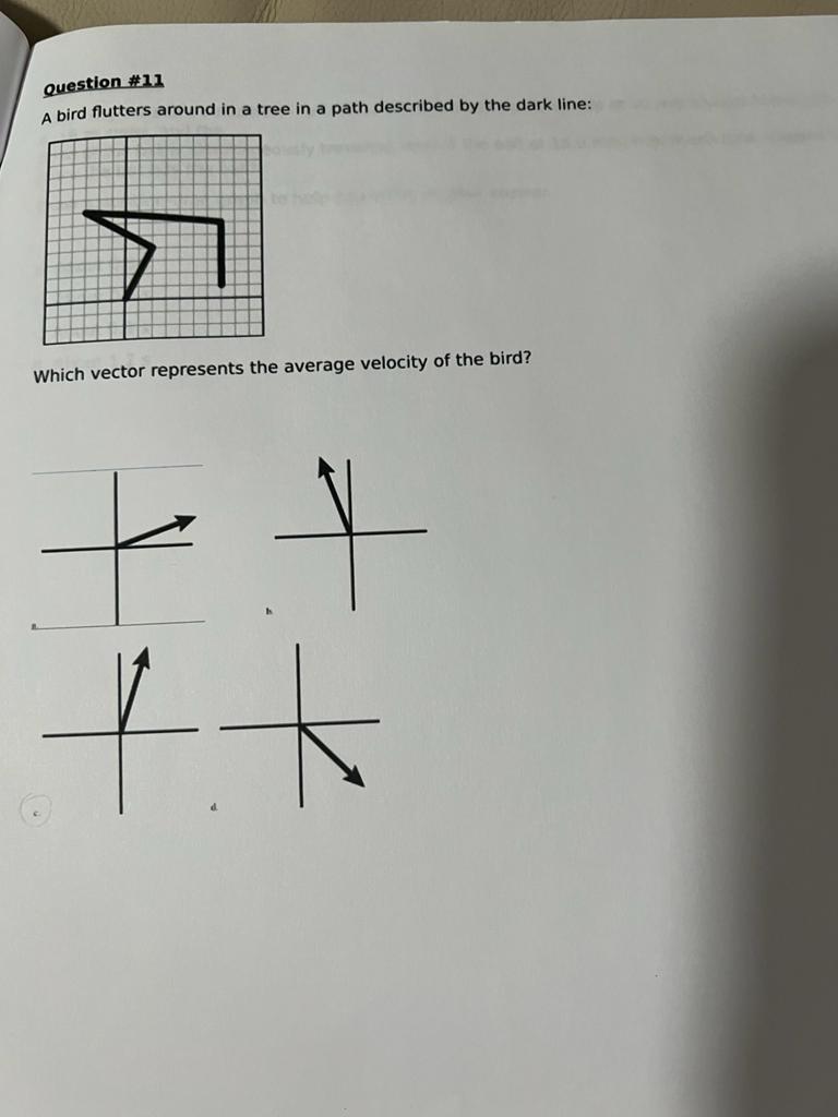 Which person appears to be going to the wrong gate?Question #4 You