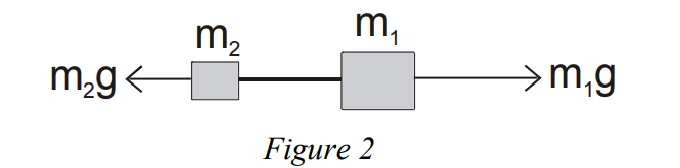 (9) (g) m1+ m2 Acceleration m1-m2 (g) (m/s2) (g) 200 200 400