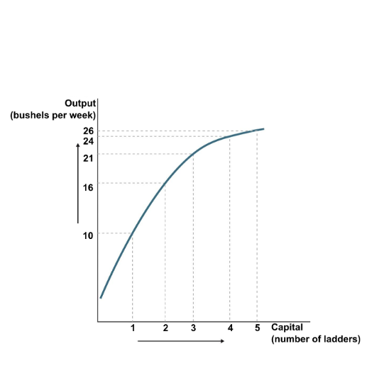 Output (bushels per week) 26 24 21 16 10 2 3 4