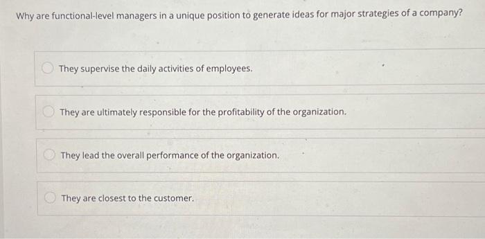 for major strategies of a company? They supervise the daily activities of