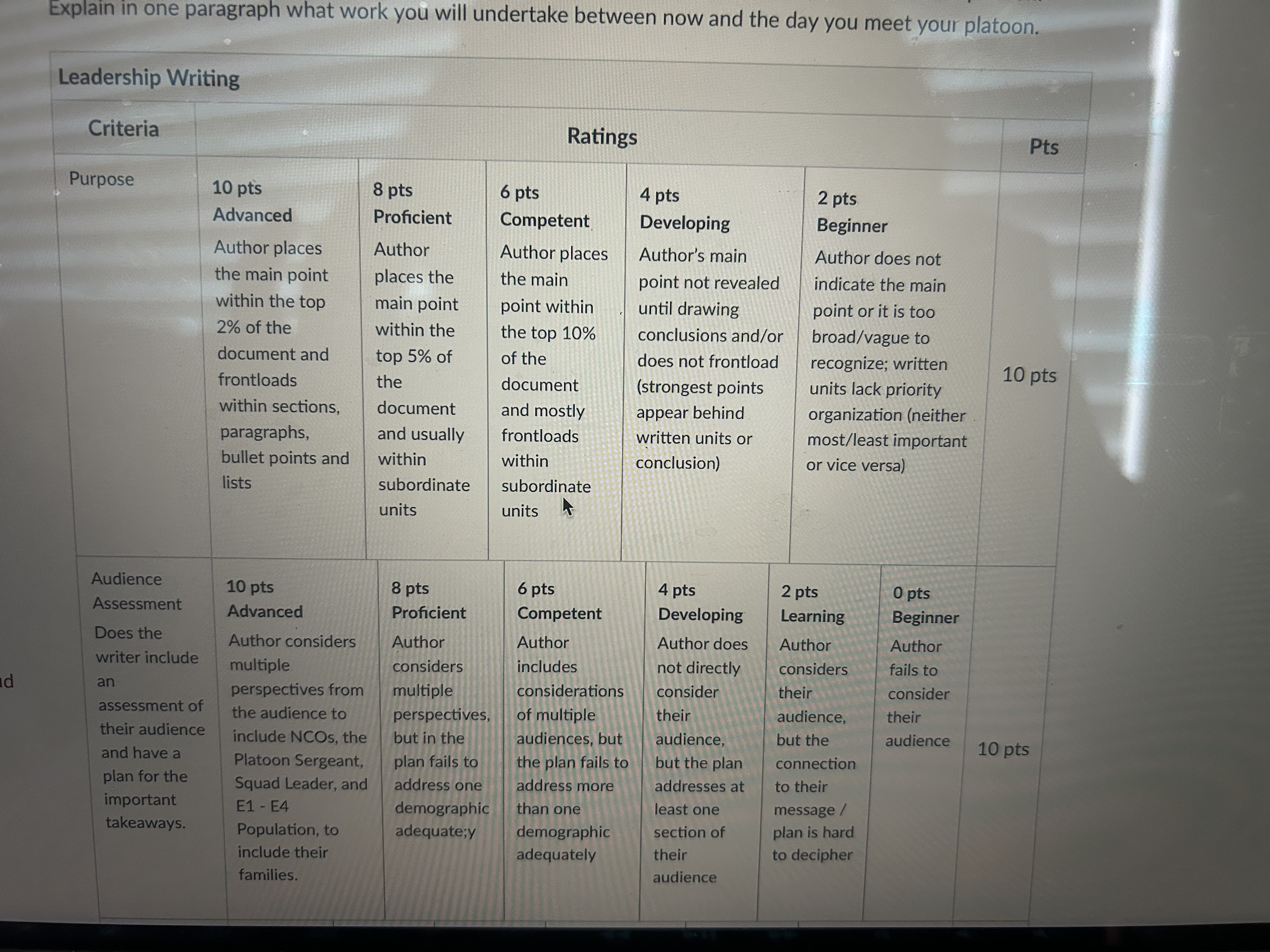 your nursing platoon. This plan should include what you want your nursing