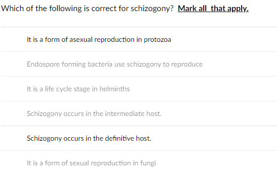 Which of the following is correct for schizogony? Mark all that apply2