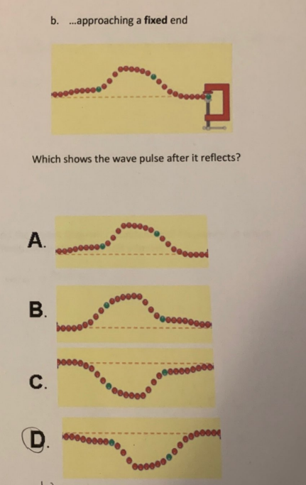 My answer is incorrect the correct answer is C, please write your