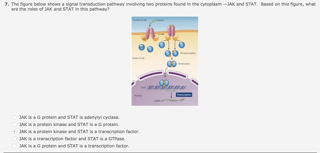 to enter for a player. Then, prompt the user for the player's
