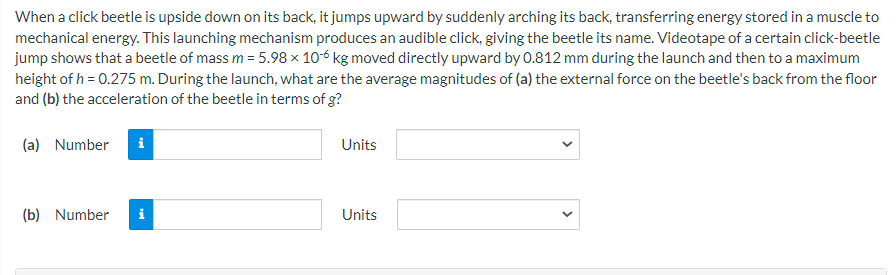  When a click beetle is upside down on its back, it