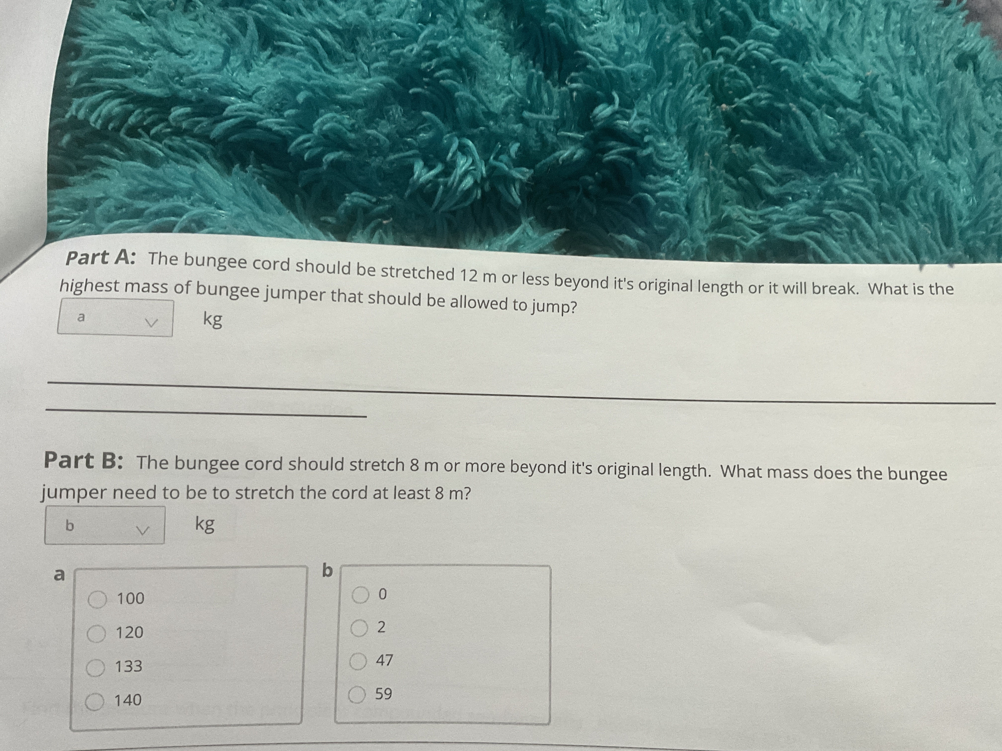 m above the water. The spring constant of the bungee cord is