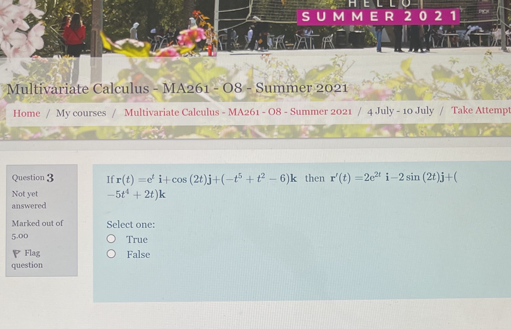 HELLO SUMMER 2021 Multivariate Calculus - MA261 - 08 - Summer