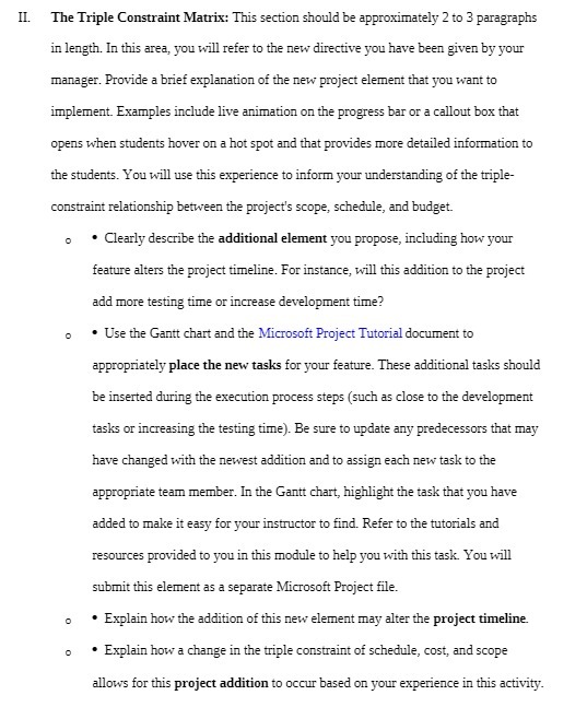 II. The Triple Constraint Matrix: This section should be approximately 2