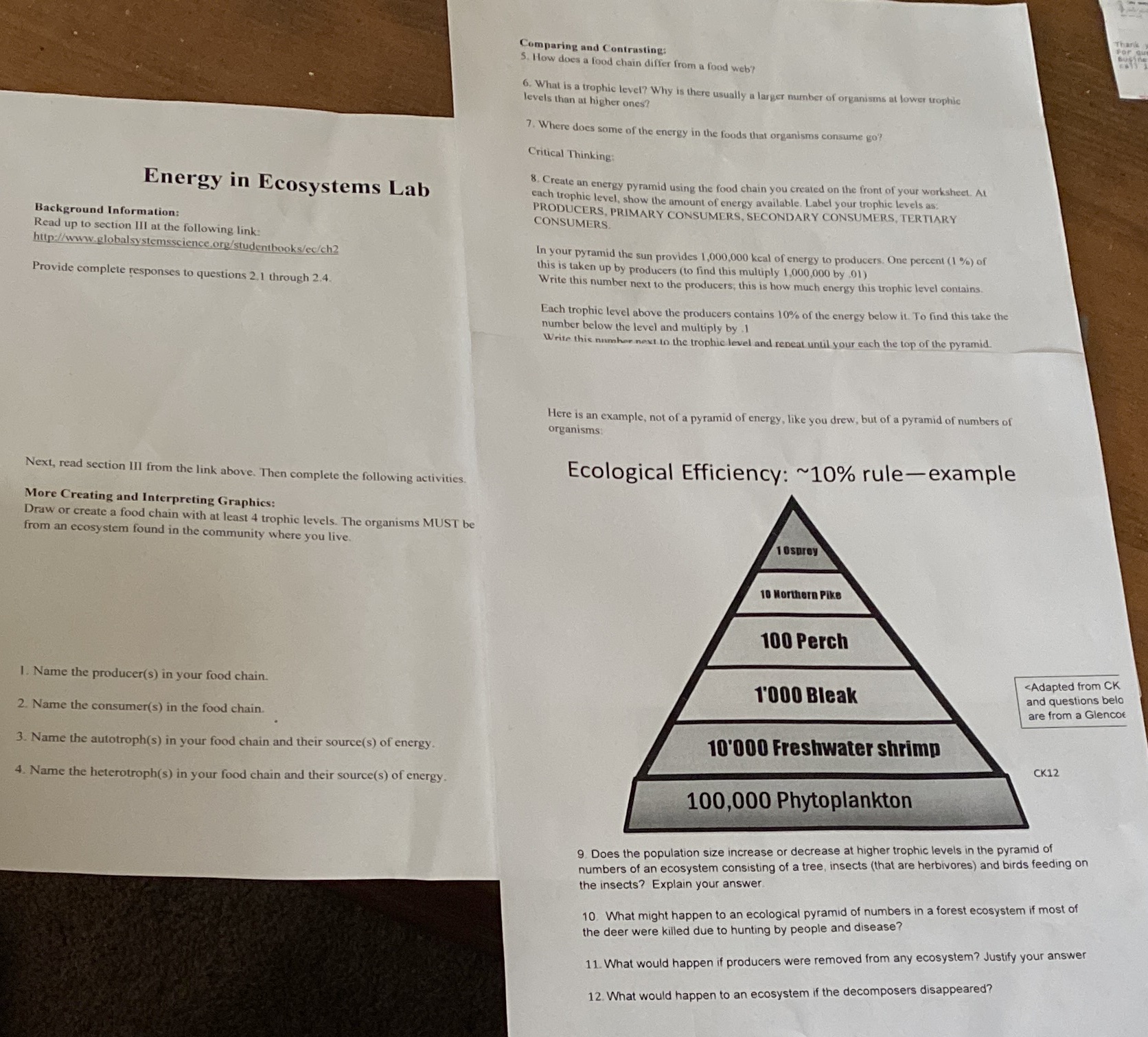 I need help on this I'm about to fail Comparing and Contrasting: