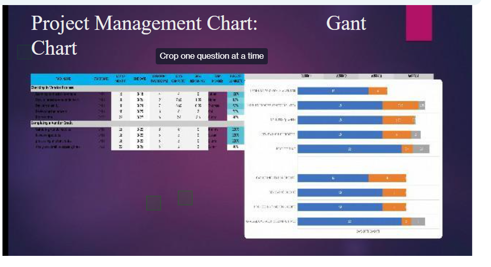 Project Management Chart: Chart Crop one question at a tirne Gant