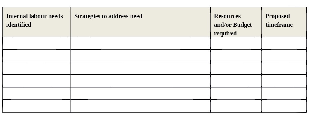 Internal labour needs identified Strategies to address need Resources and/or Budget re