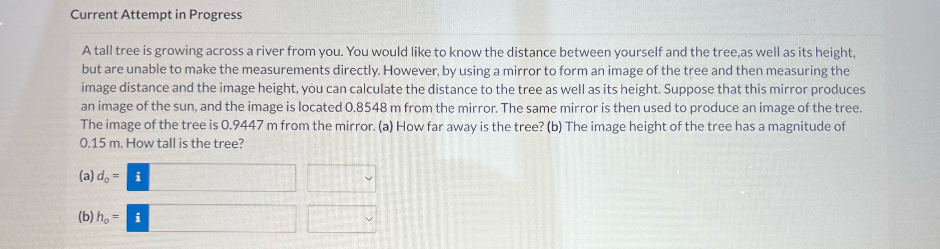  Current Attempt in Progress A tall tree is growing across a