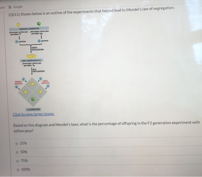 a copyright holder and judge whether in this case there is copyright