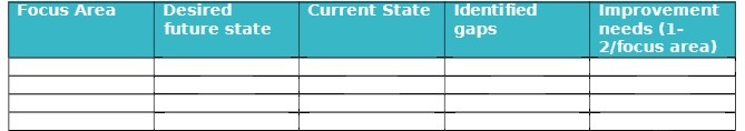 Focus Area Desired future state Current State Identified gaps Improvement needs (1-