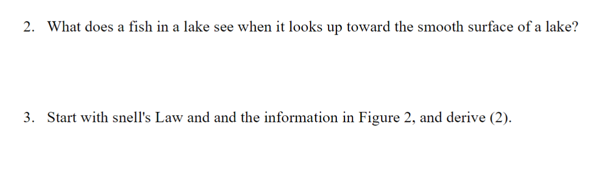  2. What does a fish in a lake see when it