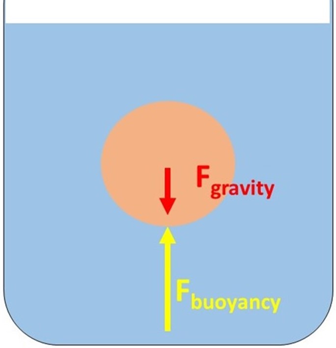 Please answer ALL questions as this is very important.1. The figure below