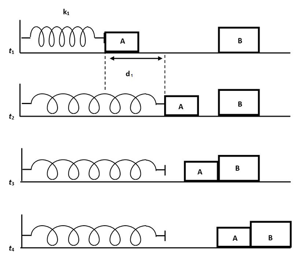 Physics students are studying linear and simple harmonic motion. They place two