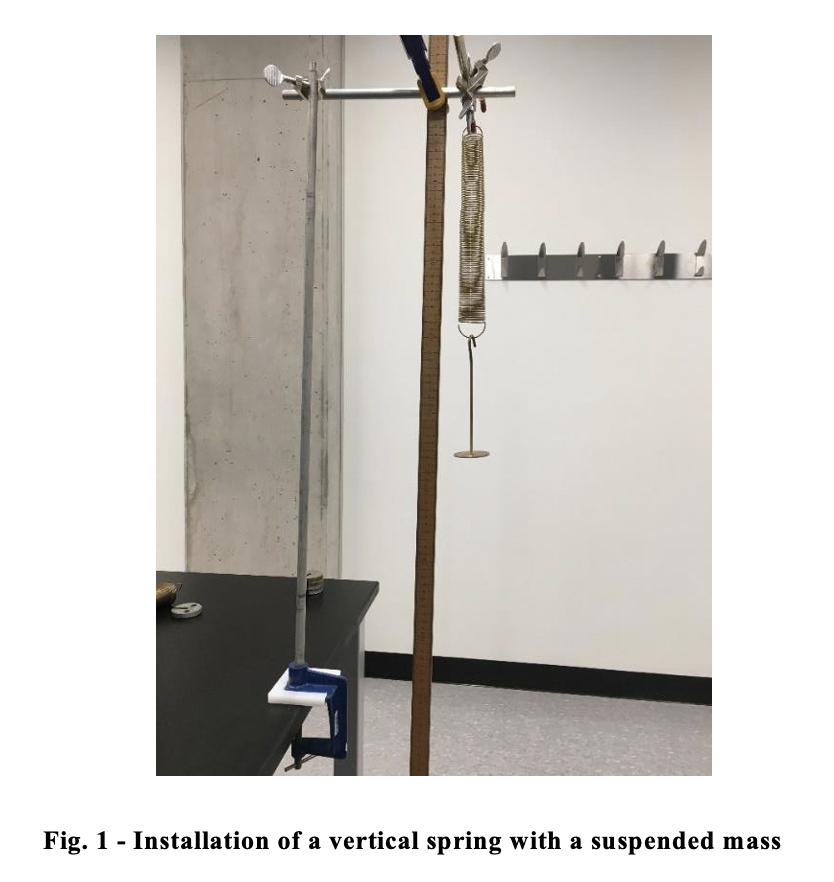 Hello please answer and explain:The spring is weighed and a mass of