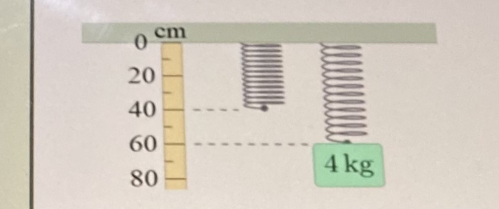 0 20 40 60 80 2468 cm 4 kg
