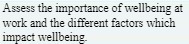 A&sess the importance of wellbeing at work and the different factors which
