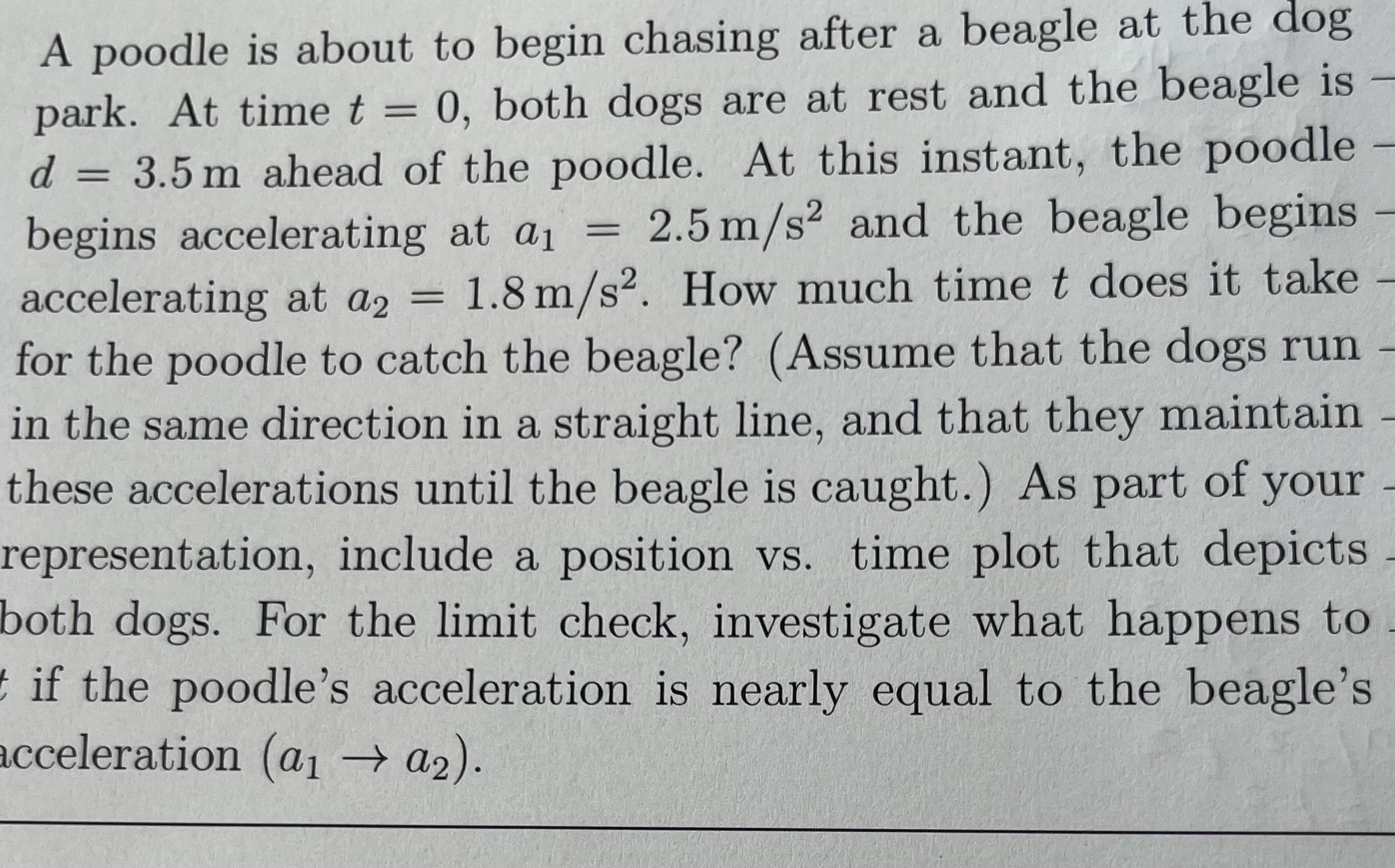  A poodle is about to begin chasing after a beagle at