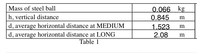 speed after the collision. We didn't calculate the speed during the lab