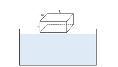 We consider a rectangular prism made entirely of solid plastic with a