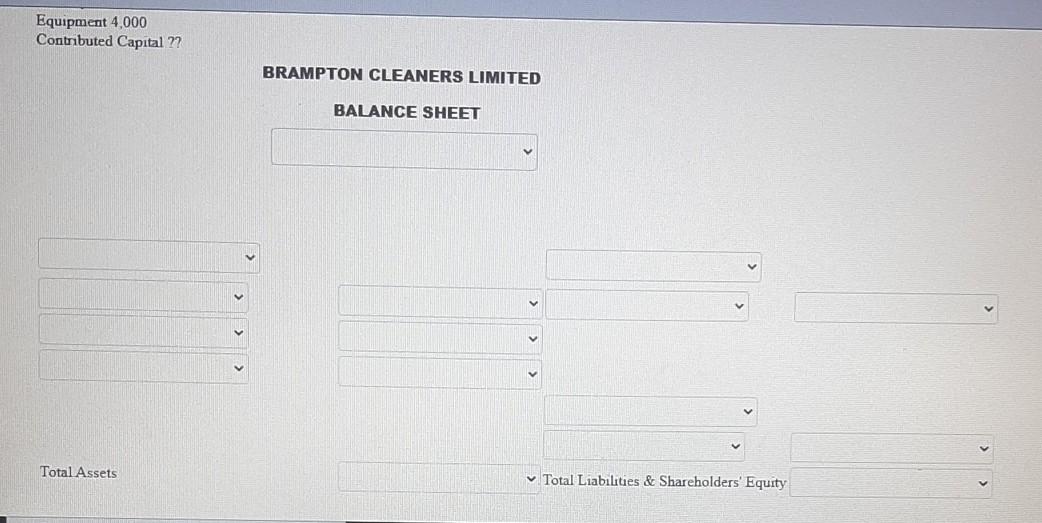 sheet in proper form for Brampton Cleaners Ltd at December 31, 2022.