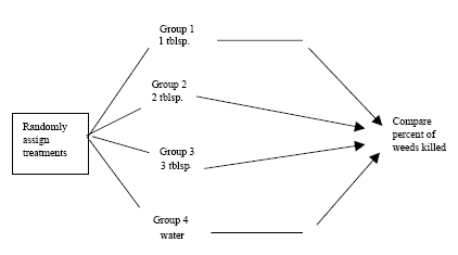 about creating a design/data collection theThe picture below is what I need