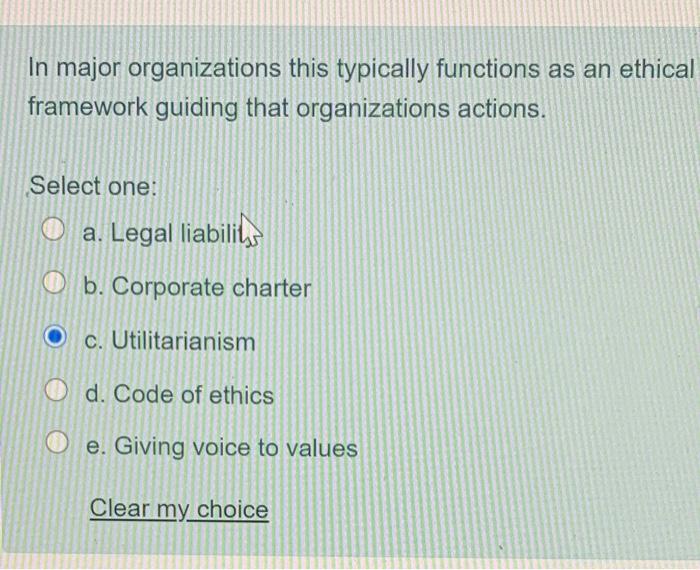  In major organizations this typically functions as an ethical framework guiding