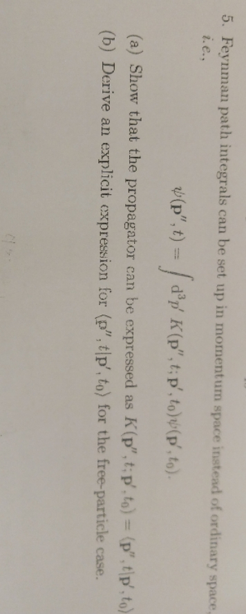 quantum mechanics 2 physics 5. Feynman path integrals can be set up
