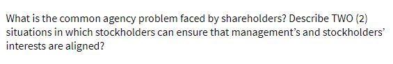 What is the common agency problem faced by shareholders? Describe TWO