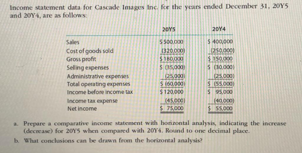 Income statement data for Cascade Images Inc. for the years ended