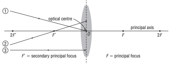 me. I am not so educated so I come here and ask