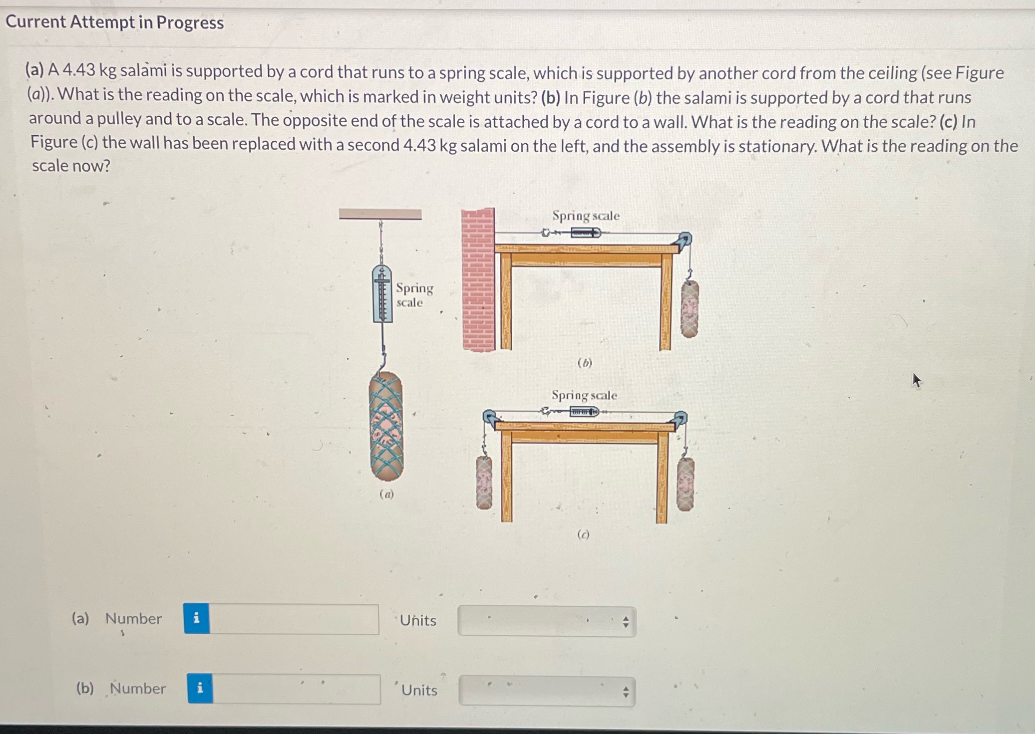  Current Attempt in Progress (a) A 4.43 kg salami is supported