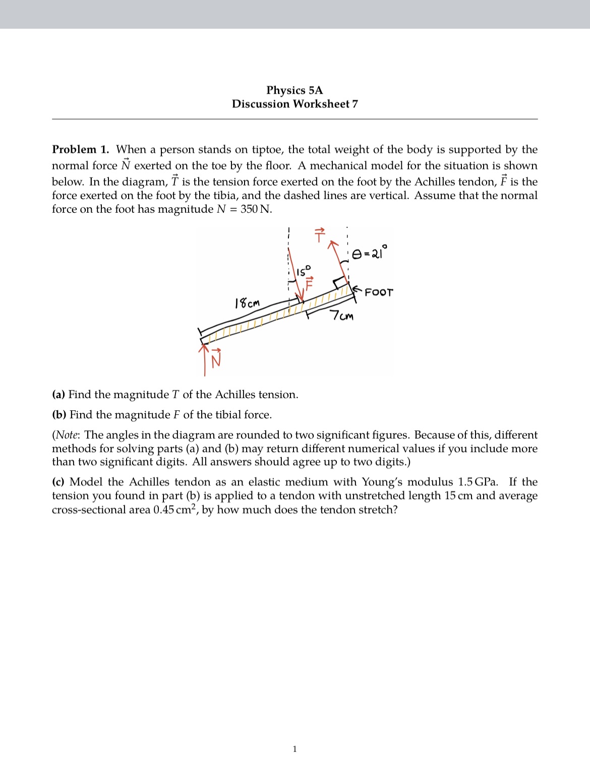  Physics 5A Discussion Worksheet 7 Problem 1. When a person stands