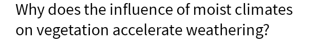 Why does the influence of moist climates on vegetation accelerate weathering?