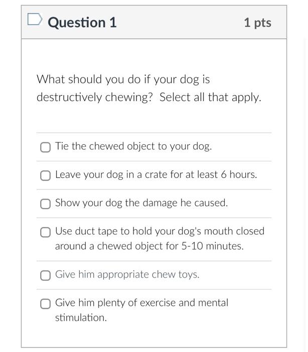  Question 1 1 pts What should you do if your dog