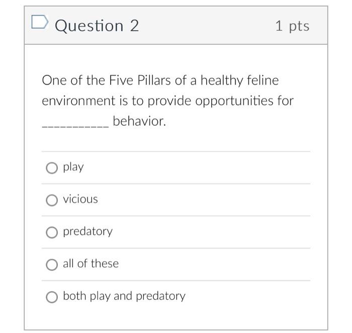 is destructively chewing? Select all that apply. Tie the chewed object to